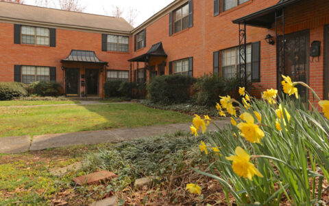 roswell-court-photo-3